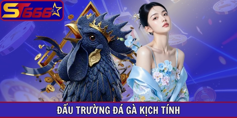 Đấu trường đá gà kịch tính